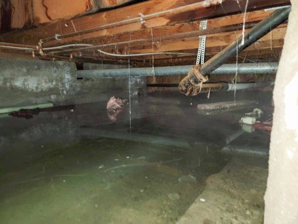 Best Flood restoration services  in Perry, KS