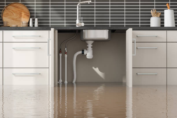 Best Water damage restoration services  in Perry, KS