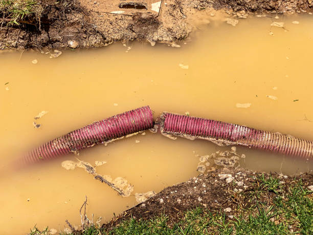Best Residential water damage restoration  in Perry, KS